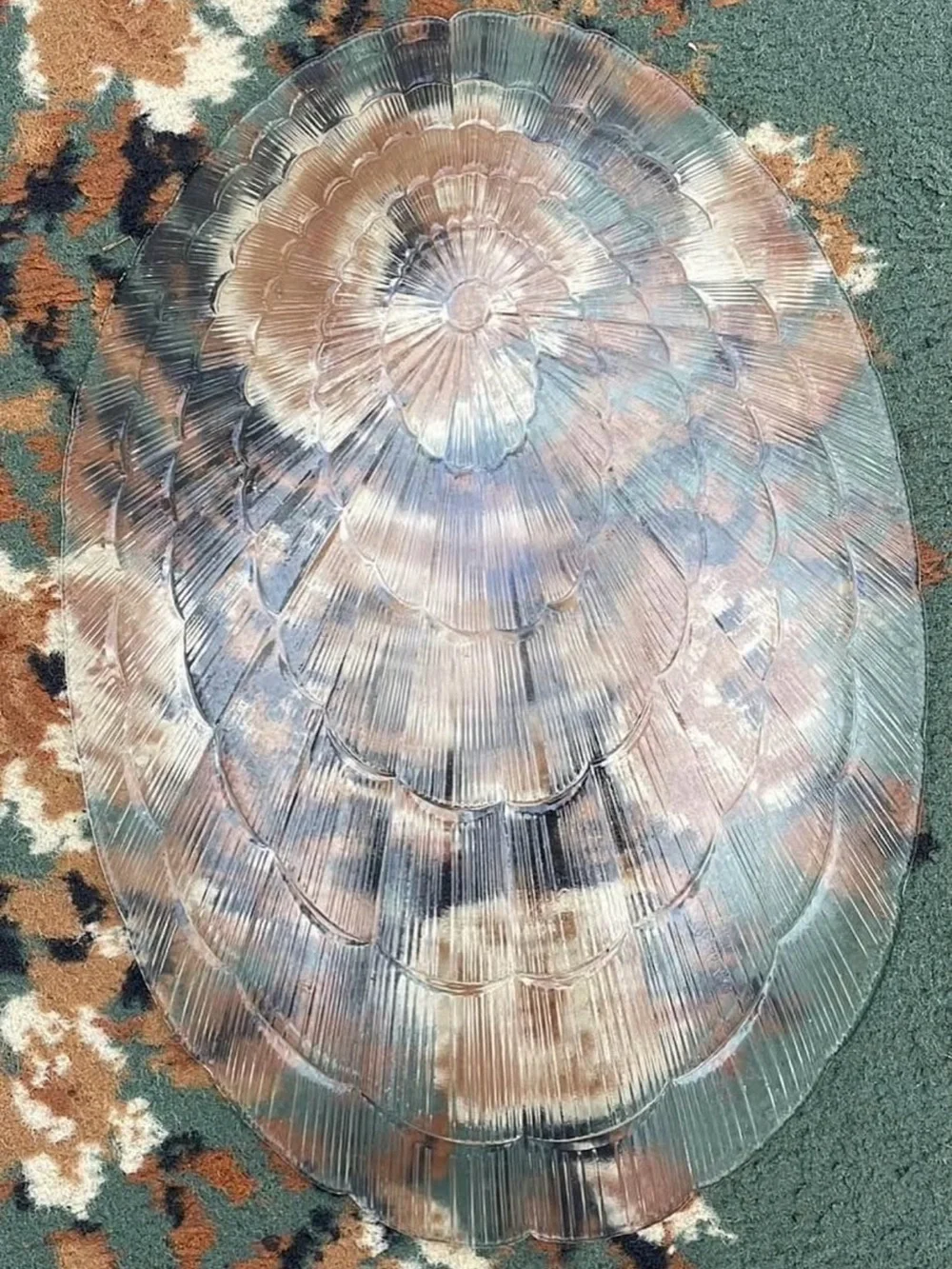VTG Pasabahce Seashell Swirl Atlantis Pattern Clear Glass Oval Dinner/Platter